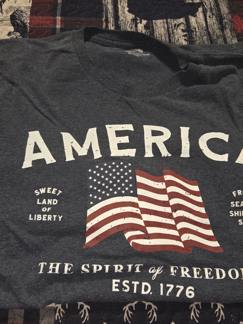 Americana Flag Graphic Tee in Dark Heather